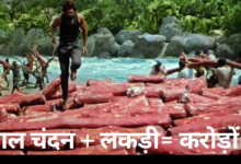 लाल चंदन लकड़ी प्राइस | Pushpa movie wali Lal Chandan ki lakdi  | chandan ki lakdi ka price in india